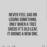 shahrukh malik - @shah__malik__ - Instagram