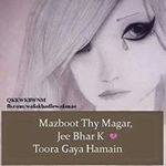 Rizvi Shaheen - @rizvi.shaheen - Instagram