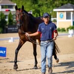 Shahid Mahmood - @shahidmahmood408 - Instagram