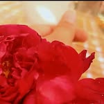 shahida asif - @shahidaa71 - Instagram
