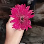 sahida parveen - @shahida_raza_qureshi - Instagram