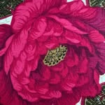 Shahida raza - @shahidaraza3 - Instagram