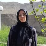 shahin.rouhani - @shahin.rhi - Instagram