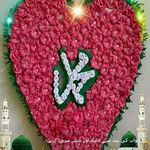 Shahla Sheikh - @shahla6999 - Instagram
