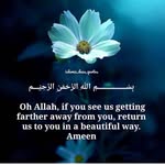 Shahnaj uddin - @uddin_shahnaj - Instagram