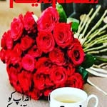 shahnaz Anwar - @shahnazanwar868 - Instagram
