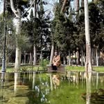 shahnaz moradi - @shahnazmoradi35 - Instagram