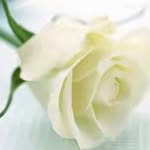 shahnaz Mulla - @mullashahnaz - Instagram