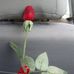 Shahram Saba - Facebook