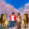 Shaik nabi - @shaiknabi54 - TikTok