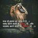 Shail Patel - Facebook