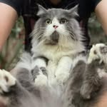 Shailee Shah - @shailee2505 - Instagram