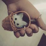 Sʜʌɩɭɘsʜ Aɱɩŋ - @amin_shailesh - Instagram