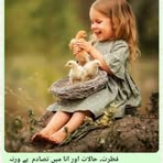 Shaista Arain - Facebook
