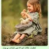 Shaista Arain - @shaista.arain1 - TikTok