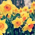 Shaista Qaiser - @shaistaqaiser500 - Instagram