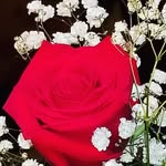 Shaista Qaiser - @iamshaistaqaiser - Instagram