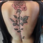 Shaka Daniel's - @danielsshaka - Instagram