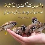 Shakeela Hanif - @shakeela.hanif.7 - Instagram