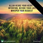 Shakeela Hanif - @shakeela_hanif - Instagram