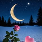 Sakil Uddin - @shakiluddin429 - Instagram
