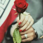 Shakila Saeed - @shakilasaeed14 - Instagram