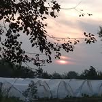 Shakila Saeed - @shakilasaeed53 - Instagram