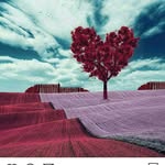 shakila saeed kumte - @shakilasaeedkumte - Instagram