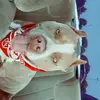 shala - @shalarogers105 - TikTok