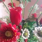 Shalom Beri - Facebook