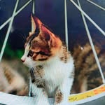 Sham Gupta - @shyam.gupta.89 - Instagram