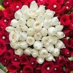Shama Aslam - @shamaaslam68 - Instagram