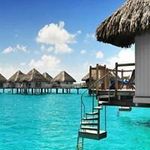 Shama Aslam - @shamaaslam01 - Instagram
