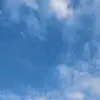 @sameerjoshi@ - @shamarjoshi - TikTok