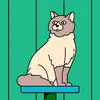 Shamar Gray - @shamar.gray7 - TikTok