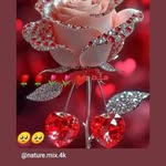 Shamir Khan - @shamir7304 - Instagram