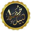 Shams Rizvi - @shams.rizvi - TikTok