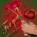 Shamso Hussein - Facebook
