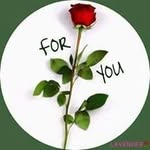 Shamso Hussein - @h.shamso - Instagram