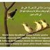 Shamso Sheq Hussein - Facebook
