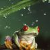Shamus McBride - Facebook