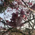 shan chun - @shan_chun_yy - Instagram