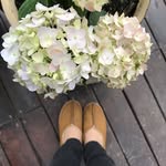 善纯 - @shanchun5686 - Instagram