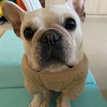 Shanchun Wu - @shanchunwu - Instagram