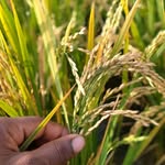 krishan reddy - @kri_shanreddy - Instagram