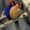 Shan Reddy - @shan.reddy - TikTok
