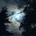 Shana Armstrong - Facebook