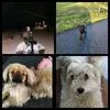 ✨shanaya_lana_chase_toetie✨ - @shanaya_lana_chase_toeti - TikTok