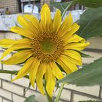 Shana Combs - @shana_3.69 - Instagram