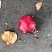 Shana Cooper - Facebook